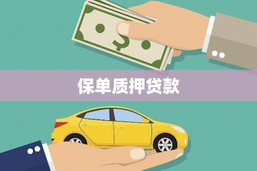 淄博保单质押贷款