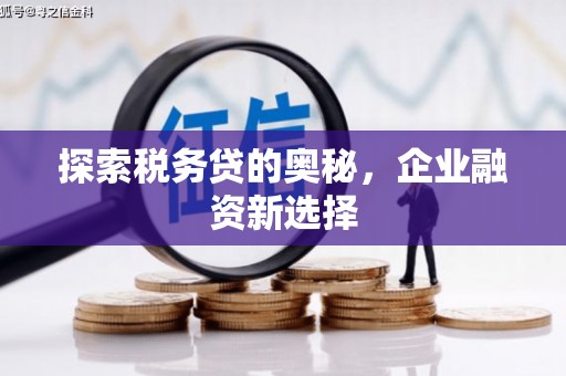 淄博探索税务贷的奥秘，企业融资新选择