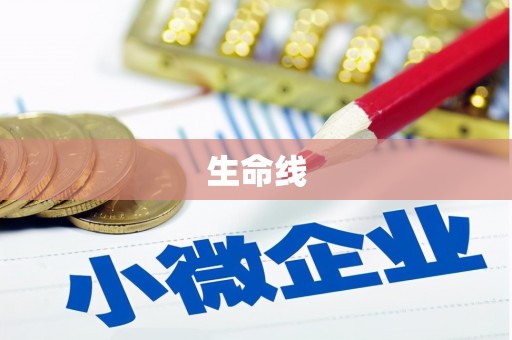 淄博生命线