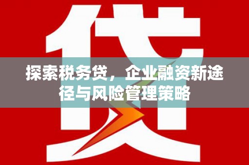淄博探索税务贷，企业融资新途径与风险管理策略