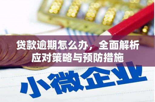 淄博贷款逾期怎么办，全面解析应对策略与预防措施