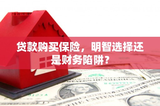 淄博贷款购买保险，明智选择还是财务陷阱？