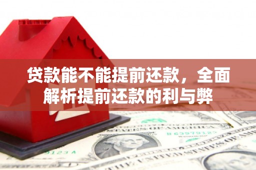 淄博贷款能不能提前还款，全面解析提前还款的利与弊
