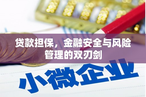 淄博贷款担保，金融安全与风险管理的双刃剑
