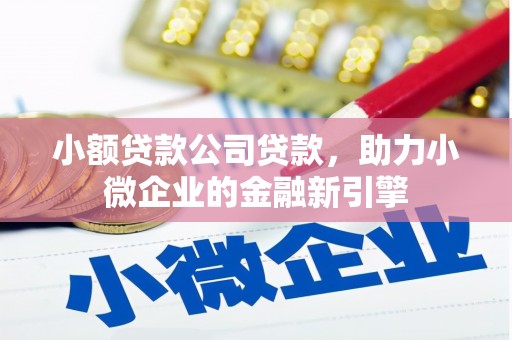 淄博小额贷款公司贷款，助力小微企业的金融新引擎