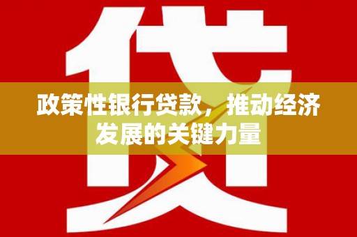 淄博政策性银行贷款，推动经济发展的关键力量