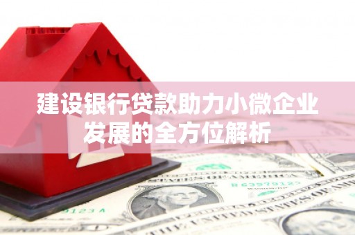 淄博建设银行贷款助力小微企业发展的全方位解析