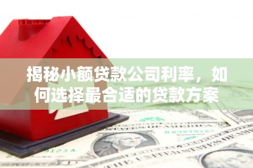 淄博揭秘小额贷款公司利率，如何选择最合适的贷款方案