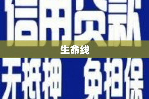 淄博生命线
