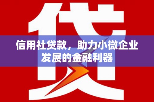 淄博信用社贷款，助力小微企业发展的金融利器