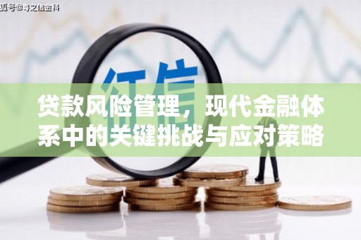 淄博贷款风险管理，现代金融体系中的关键挑战与应对策略
