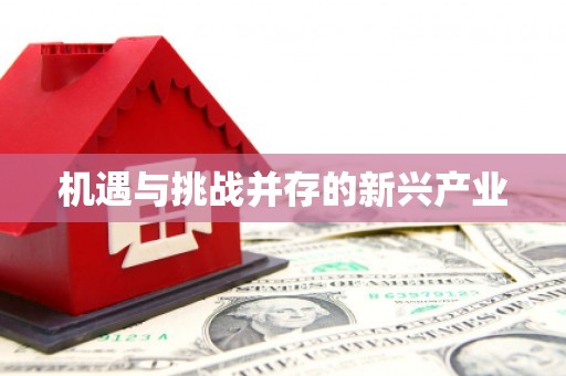 淄博机遇与挑战并存的新兴产业