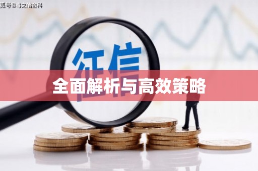 淄博全面解析与高效策略