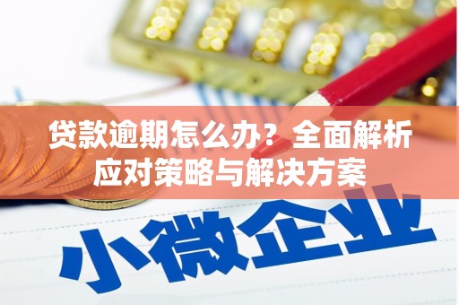 淄博贷款逾期怎么办？全面解析应对策略与解决方案
