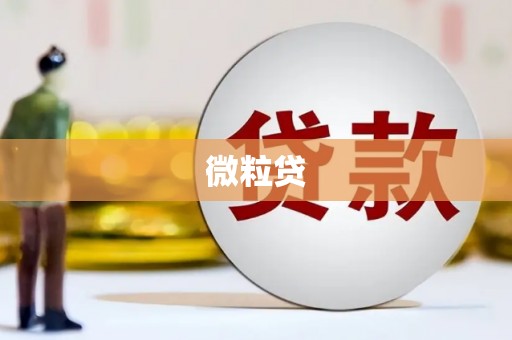 淄博微粒贷