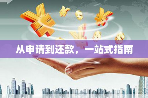 淄博从申请到还款，一站式指南