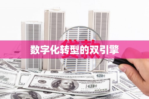 淄博数字化转型的双引擎