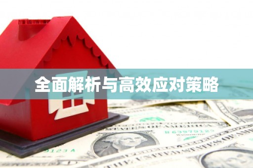 淄博全面解析与高效应对策略